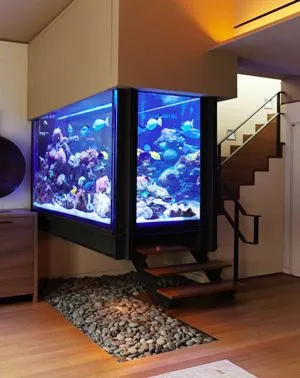 NATURE - AQUARIUM