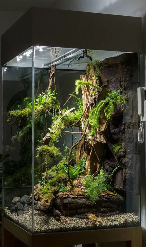 NATURE - INTERIOR SCAPING