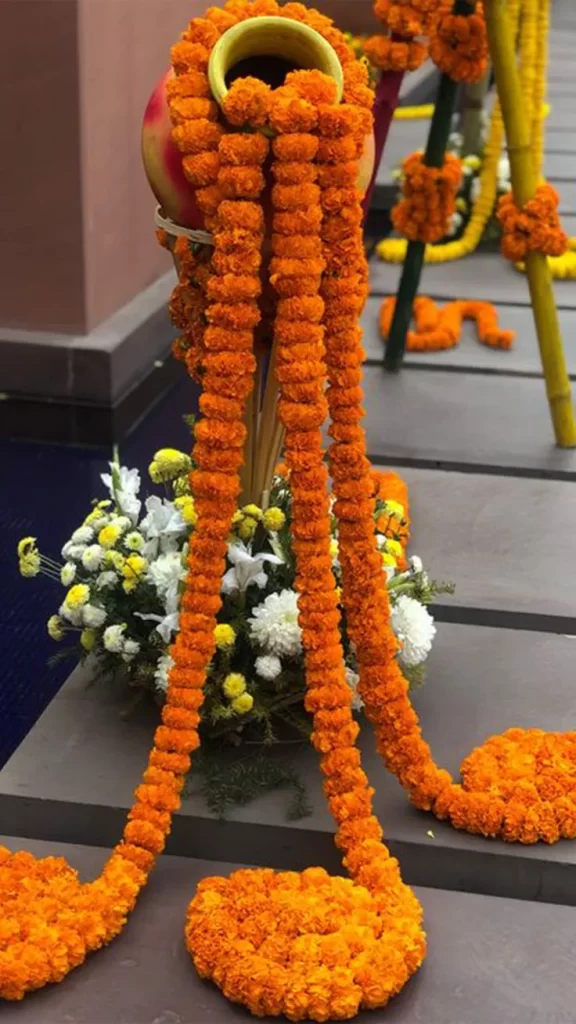 glamarous entry design
