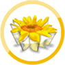 transparent working