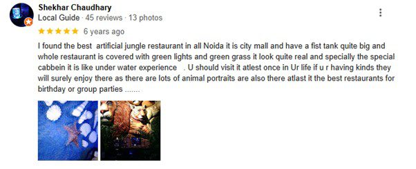 review for jungle barbeque-11