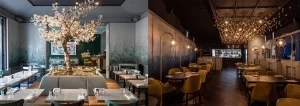 fine dine restaurant design