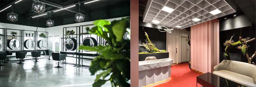 spa and salon interiors