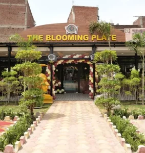 booming plate fine dine designed by kriaan enterprises